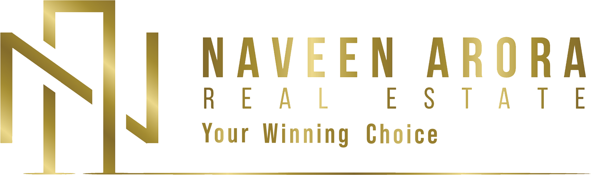 Naveen Arora (Licensee Salesperson, City South Investments 2019 Ltd REAA 2008)